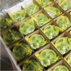 VCI-Packaging-emeden-01